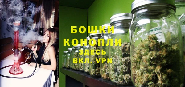 сатива Беломорск