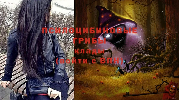 сатива Беломорск