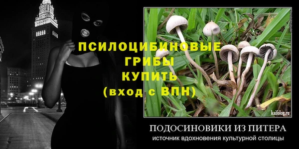 сатива Беломорск