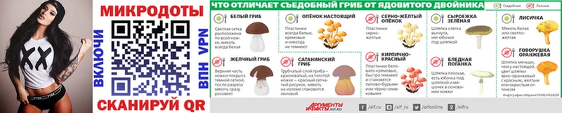мориарти Telegram  Берёзовский  Псилоцибиновые грибы Psilocybe 